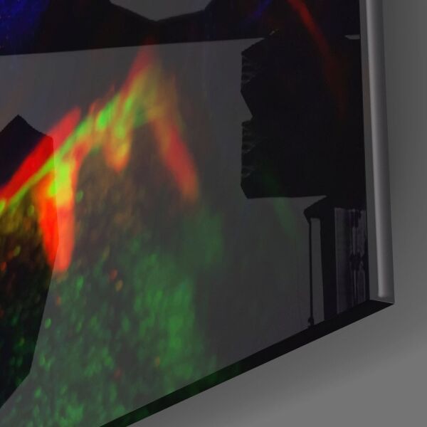 Neon Kadın Cam Tablo