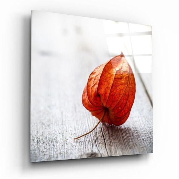 Kuru Yaprak Cam Tablo