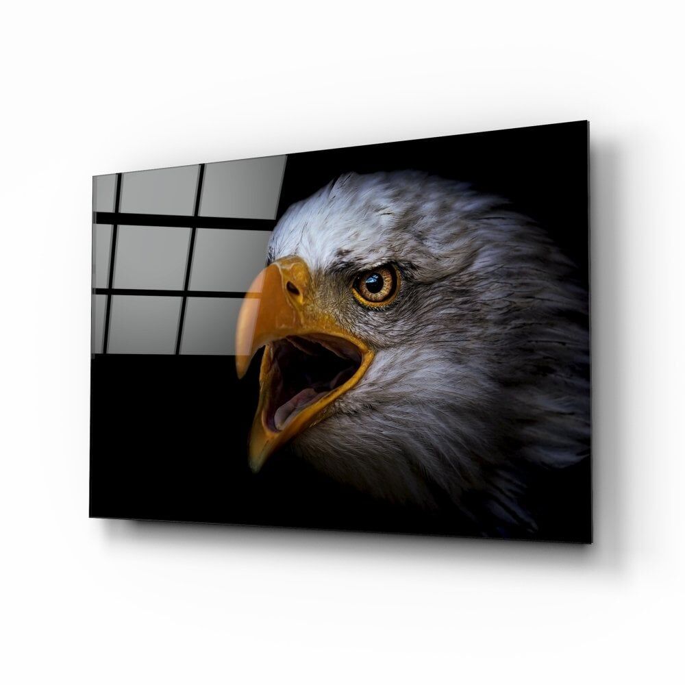 Kartal Cam Tablo No:4031