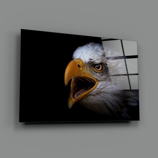 Kartal Cam Tablo No:4031