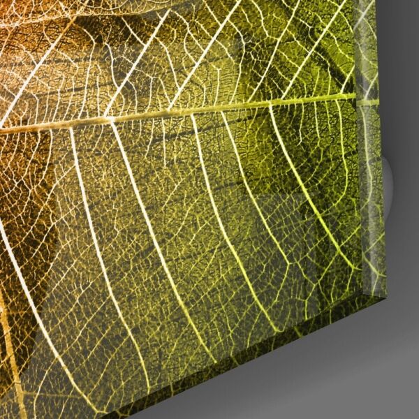 Makro Yapraklar Cam Tablo