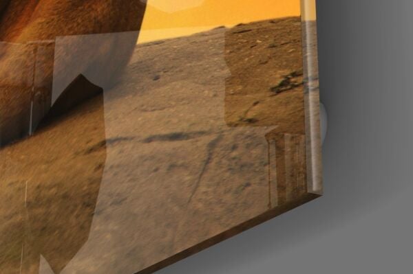 Aslan Cam Tablo No:4027