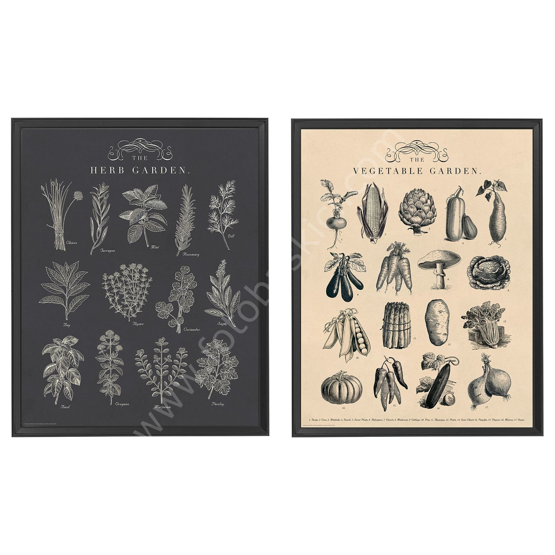 Çerçeveli Resim Seti 40x50 cm 2'li Bahçe KNOPPANG