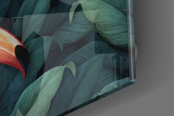 Tukan Papağanı Cam Tablo