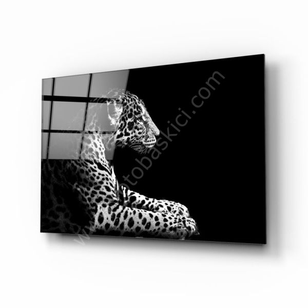 Leopar Cam Tablo No:2014