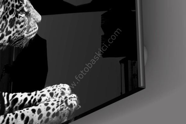 Leopar Cam Tablo No:2014