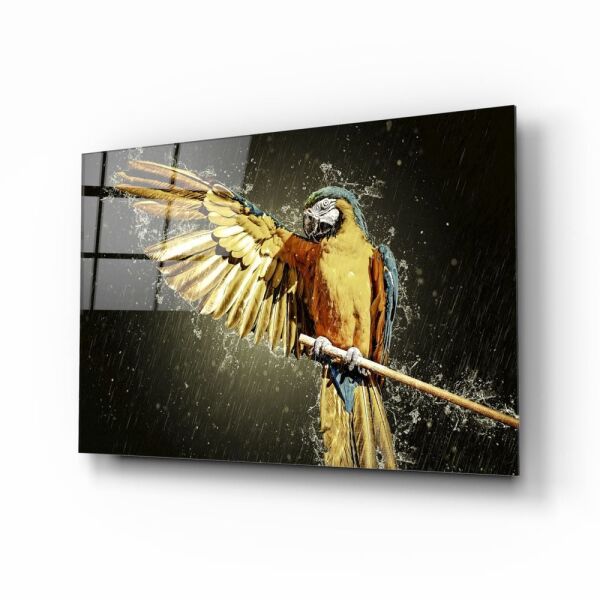 Papağan Cam Tablo