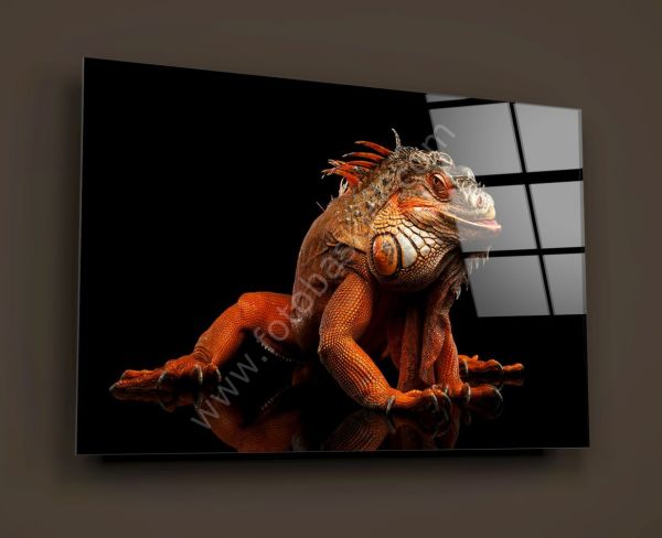 Komodo Ejderi Cam Tablo