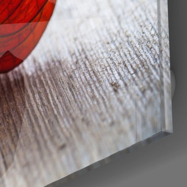 Kuru Yaprak Cam Tablo