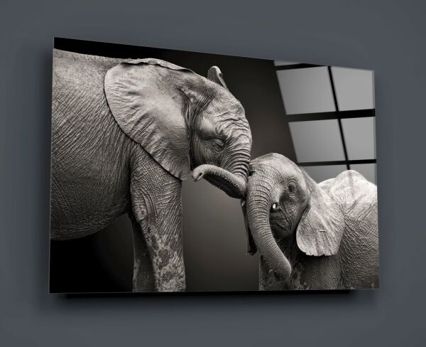 Filler Cam Tablo No:2019