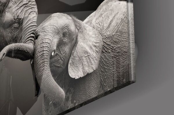 Filler Cam Tablo No:2019