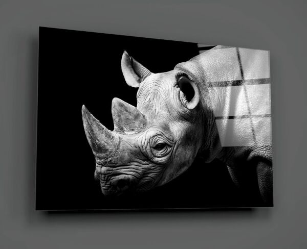 Gergedan Cam Tablo No:2006