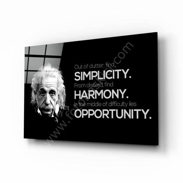 Einstein Cam Tablo