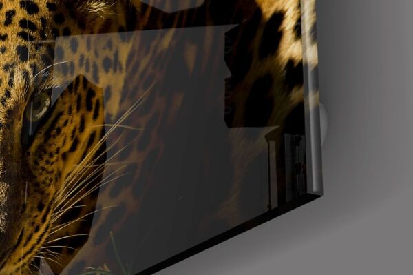 Leopar Cam Tablo No:1216