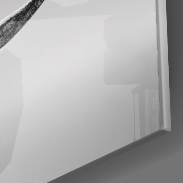 Siyah Gergedan Cam Tablo