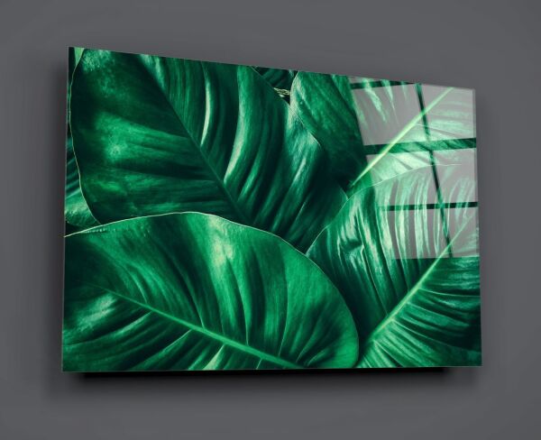 Yeşil Tropik Yaprak Cam Tablo No:1191