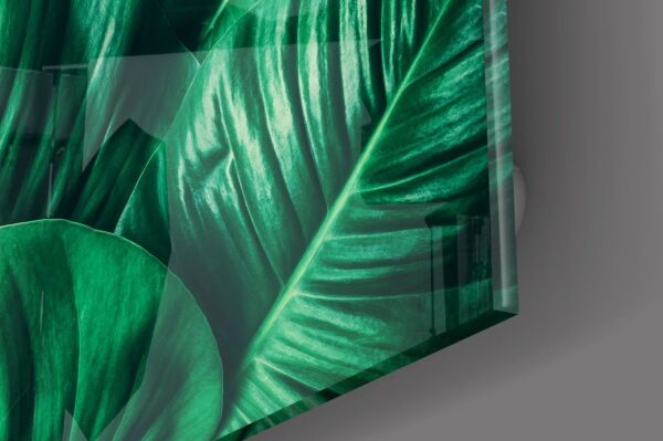 Yeşil Tropik Yaprak Cam Tablo No:1191
