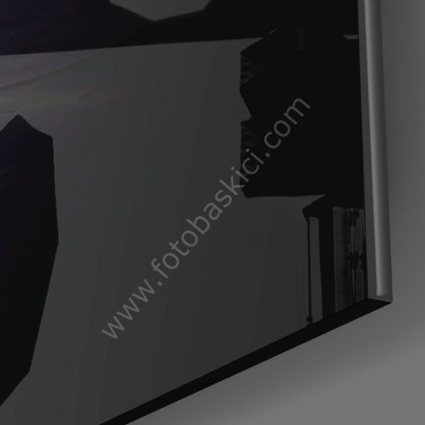 Siyah Kuğu Cam Tablo