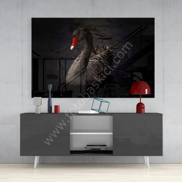 Siyah Kuğu Cam Tablo