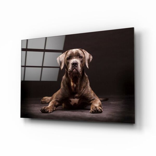 Köpek Cam Tablo No:1180