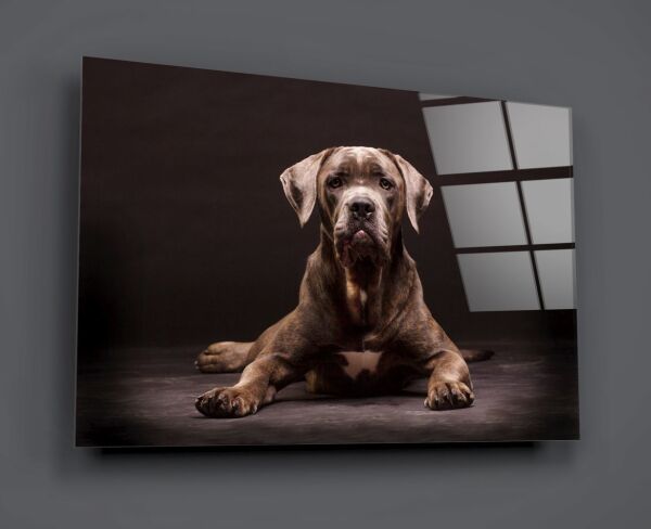 Köpek Cam Tablo No:1180