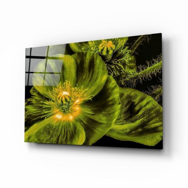 Malvales Çiçeği Cam Tablo