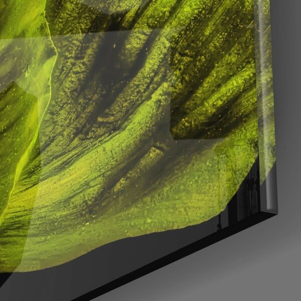 Malvales Çiçeği Cam Tablo