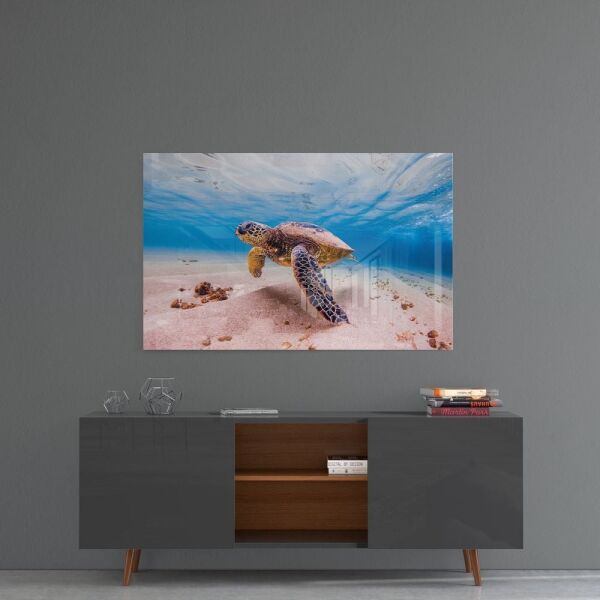 Deniz Kaplumbağası Cam Tablo No:1125