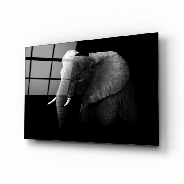 Fil Cam Tablo No:1107