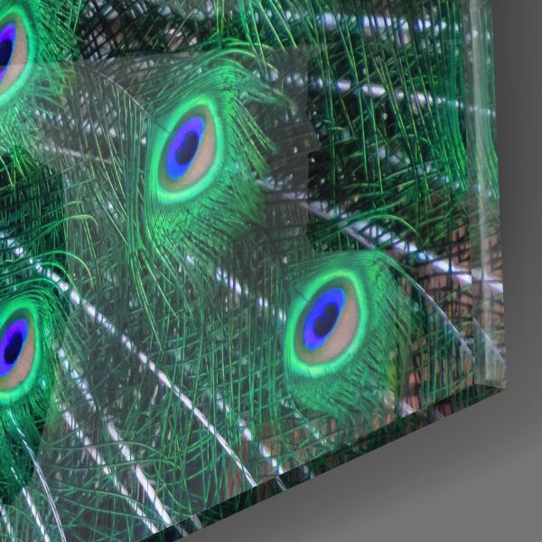 Tavuskuşu Cam Tablo