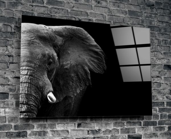 Fil Cam Tablo No:1106