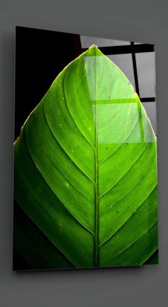 Yeşil Yaprak Cam Tablo