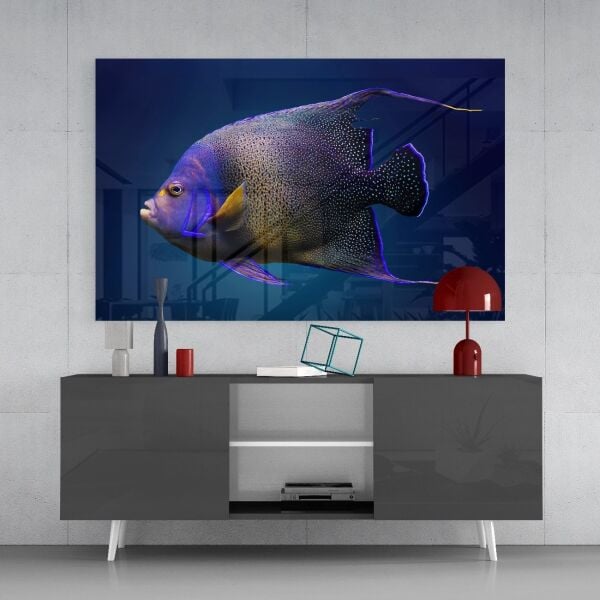 Kraliçe Melek Balığı Cam Tablo