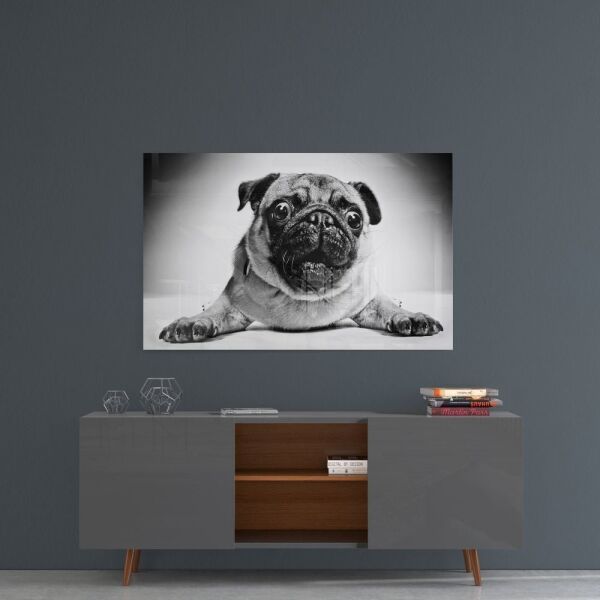 Pug Köpek Cam Tablo No:1043