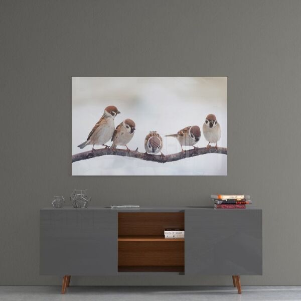 Beş Minik Kuş Cam Tablo No:1020
