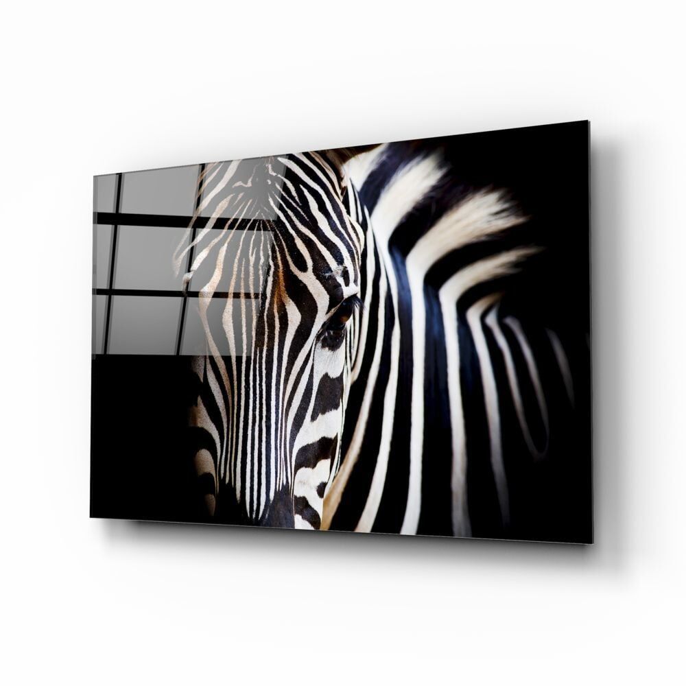 Zebra Cam Tablo No:1219
