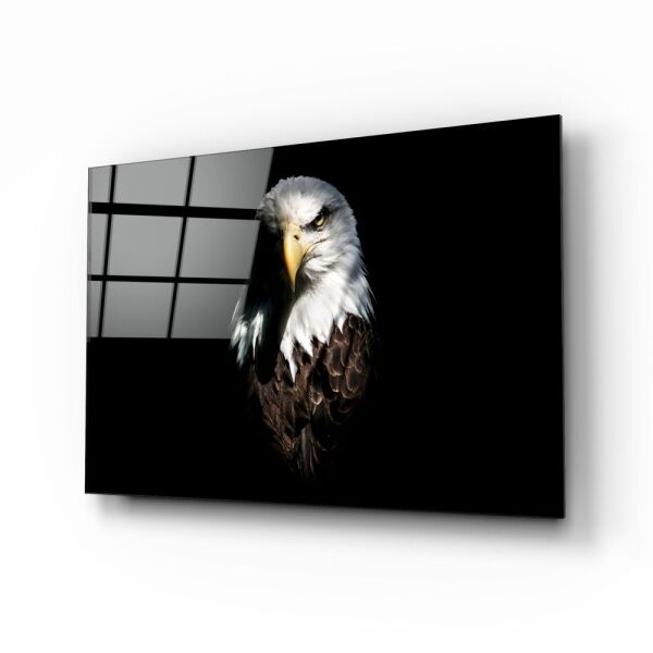 Kartal Cam Tablo No:4030