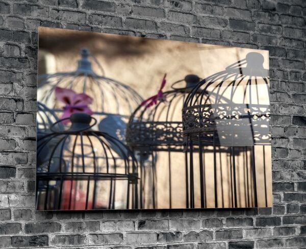 Kuş Kafesi Cam Tablo