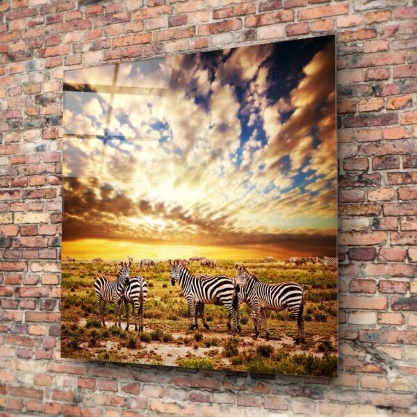 Zebralar Cam Tablo No:1104