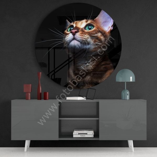 Kedi Cam Tablo