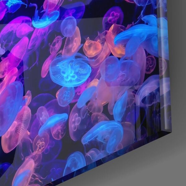 Deniz Anası Cam Tablo