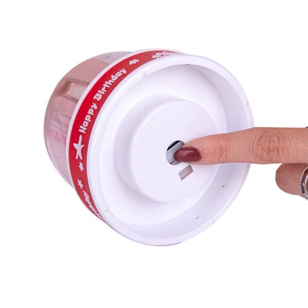 Doğum Günü Fotoğraflı Müzikli Kar Küresi 9x11 cm