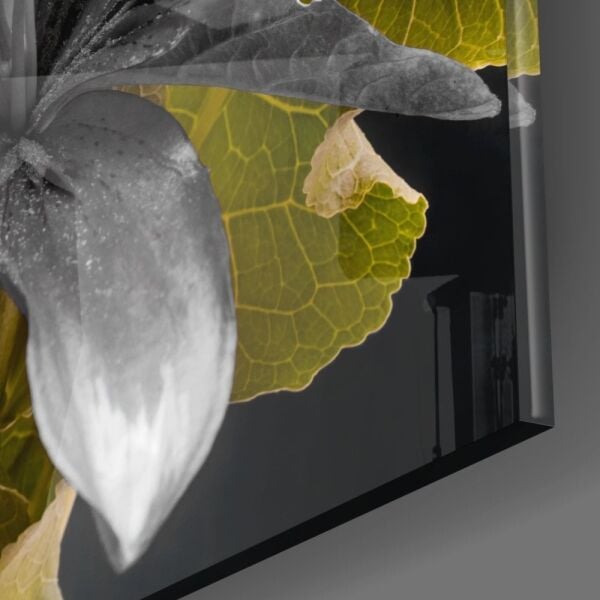 Çiçekler Cam Tablo