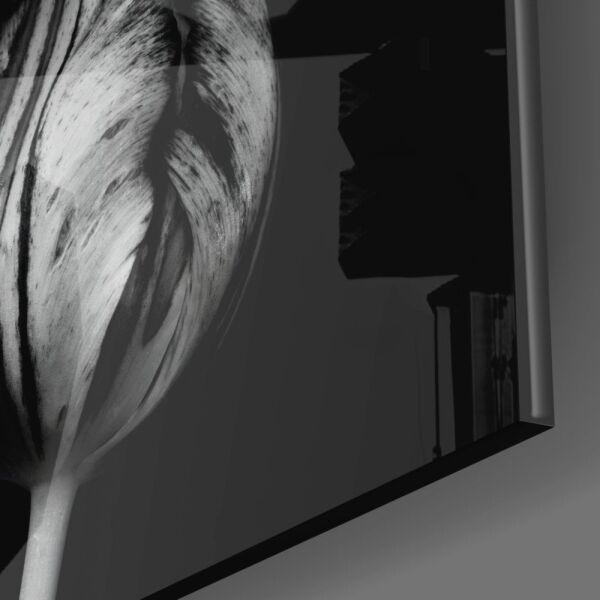 Siyah Beyaz Çiçekler Cam Tablo