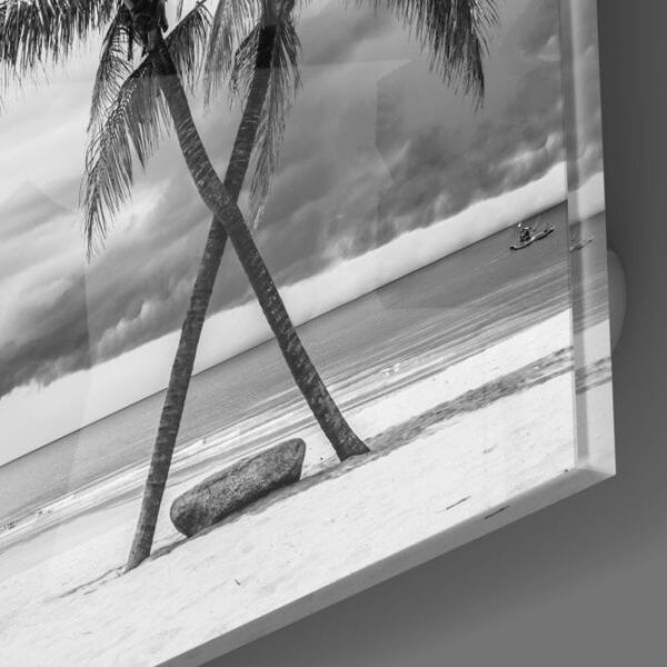 Palmiye Ağacı Cam Tablo No:1045