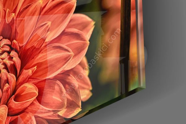 Turuncu Gerbera Cam Tablo