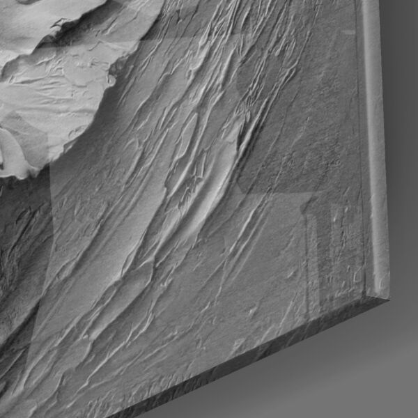 Kabartma Kadın Cam Tablo