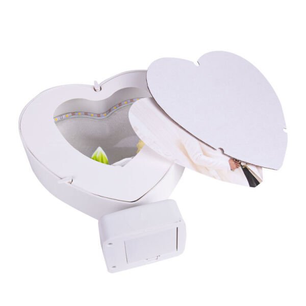 Led Işıklı Güllü Fotoğraf Çerçevesi 20x23 cm