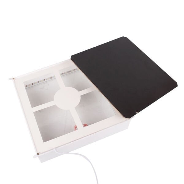 3D Led Işıklı Kuğulu Fotoğraf Çerçevesi 21x21 cm