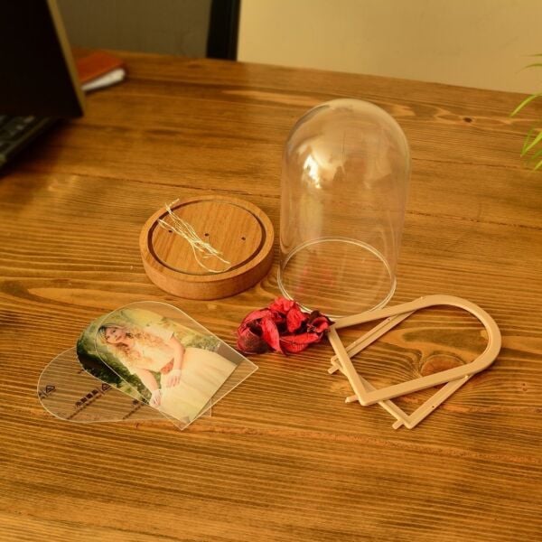 Led Işıklı Fanus Fotoğraf Çerçevesi